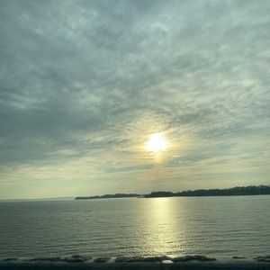 Meet your Posher, Rory